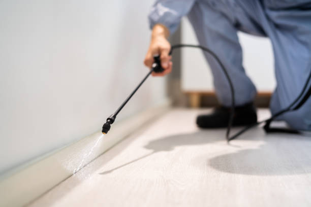 Certified termite inspector examining foundation in Jeffersontown