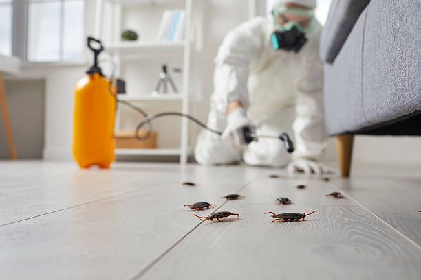 Commercial Kitchen Cockroach Control in Jeffersontown